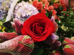 景观位-芭缇沁园椰子鸡(中航紫金新天地店)