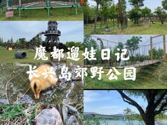 -上海长兴岛郊野公园