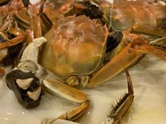 毛蟹-吉源大排档·鱼生·海鲜(烧烤彩印厂店)