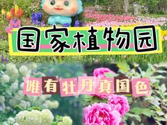 -国家植物园