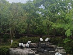-都江堰中华大熊猫苑
