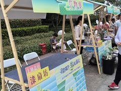 -南翔镇银翔湖公园