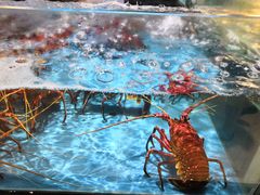 -都市阳光海鲜城(青山湖店)