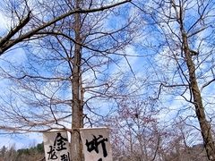 -溪口商量岗景区