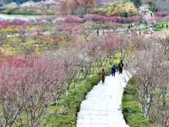 -上海海湾国家森林公园