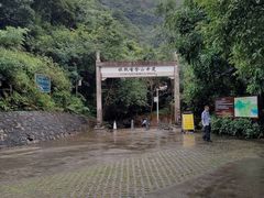 -银瓶嘴森林公园