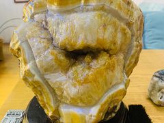 -Rabbit Cafe私房西餐甜点咖啡(栖霞路店)