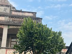 -开平碉楼文化旅游区马降龙景区