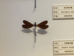 -台州博物馆