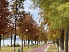-鹤之洲湿地公园
