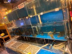 水产区-小俩口烧烤东北菜(双井店)