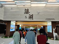 -溱湖国家湿地公园