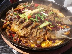 -老板恋上鱼(恒隆广场店)