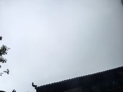 -秦岭终南山世界地质公园翠华山景区