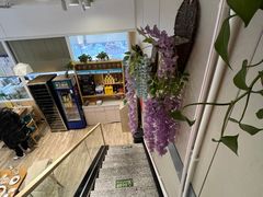 -紫光园·烤鸭(首经贸店)