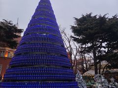 -中山路壹号传奇club·啤酒花园餐厅