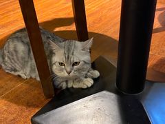 -H立方实景剧情密室(天河旗舰店)