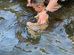 -鹿亭中村