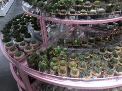 -KKV(深圳宏发大仟里店)