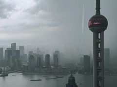 -金轩中餐厅 Jin Xuan(浦东丽思卡尔顿酒店)