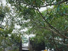 -小南山公园
