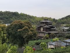 -龙井村