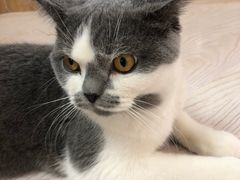 -猫和宫(六道口店)