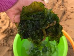 -青岛西海岸隆和福朋喜来登酒店
