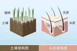 -LJOY丽锦造型·烫发染发