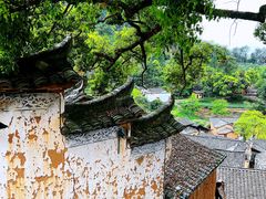 -杨家堂村