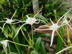 -七仙岭温泉国家森林公园