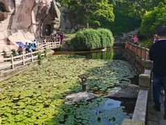-蛇蟠岛