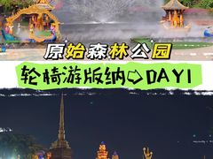 -西双版纳原始森林公园