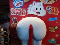 -越秀西湖花市(广州城市广场花卉店)