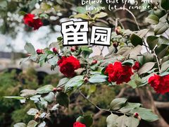 -留园