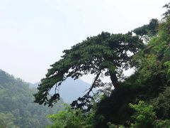 -泰山风景名胜区