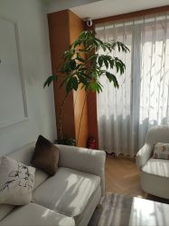 -HEYAN荷妍专业脱毛连锁机构