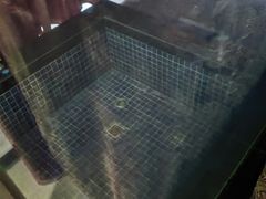 -庐山天沐温泉度假村