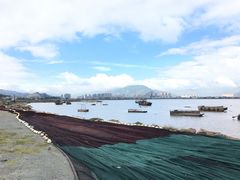 -北岐滩涂