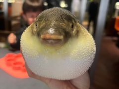 -肆月河豚·淮扬菜·湘菜(华天店)