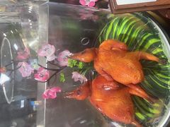 -故乡缘·香格里拉山庄(冷竹路店)
