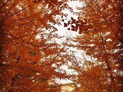 -辽宁大学(崇山校区)