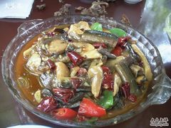 牛肝菌烧鳝鱼-宣兔头(马家场店)