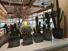 -蜜桃餐厅·伴山(湖滨商业街店)