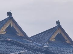 -西双版纳傣族园