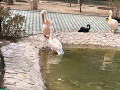 -齐齐哈尔龙沙动植物园