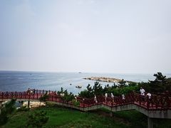 -养马岛旅游度假区