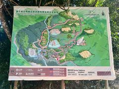 -海南霸王岭国家森林公园