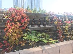 -皇冠自酿啤酒坊(中国红街5号楼店)