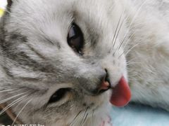 -博特宠物医院24h犬猫全科.骨科·异宠